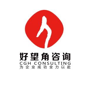長(zhǎng)沙市好望角企業(yè)管理咨詢(xún) 企業(yè)營(yíng)銷(xiāo)策劃的專(zhuān)業(yè)指南